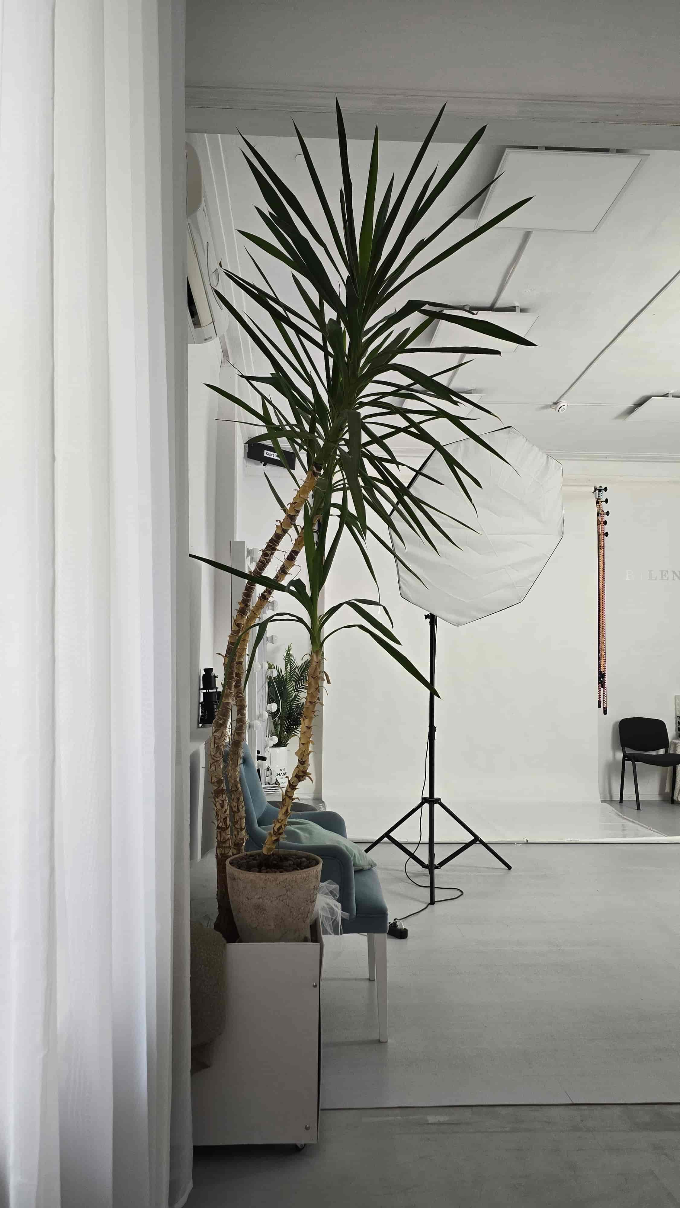 Studio Interior